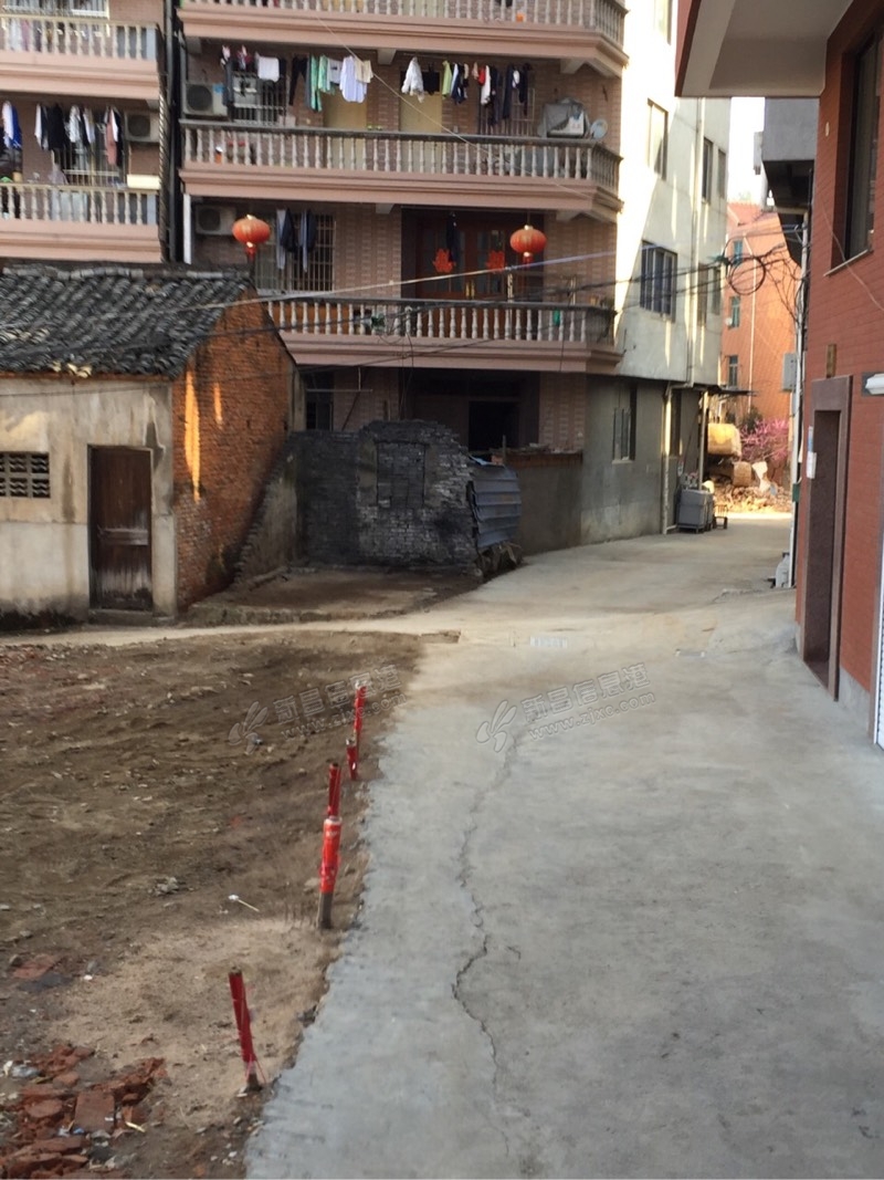 上礼泉村卫生整治成效显然_天姥家园/闲言碎语_新昌