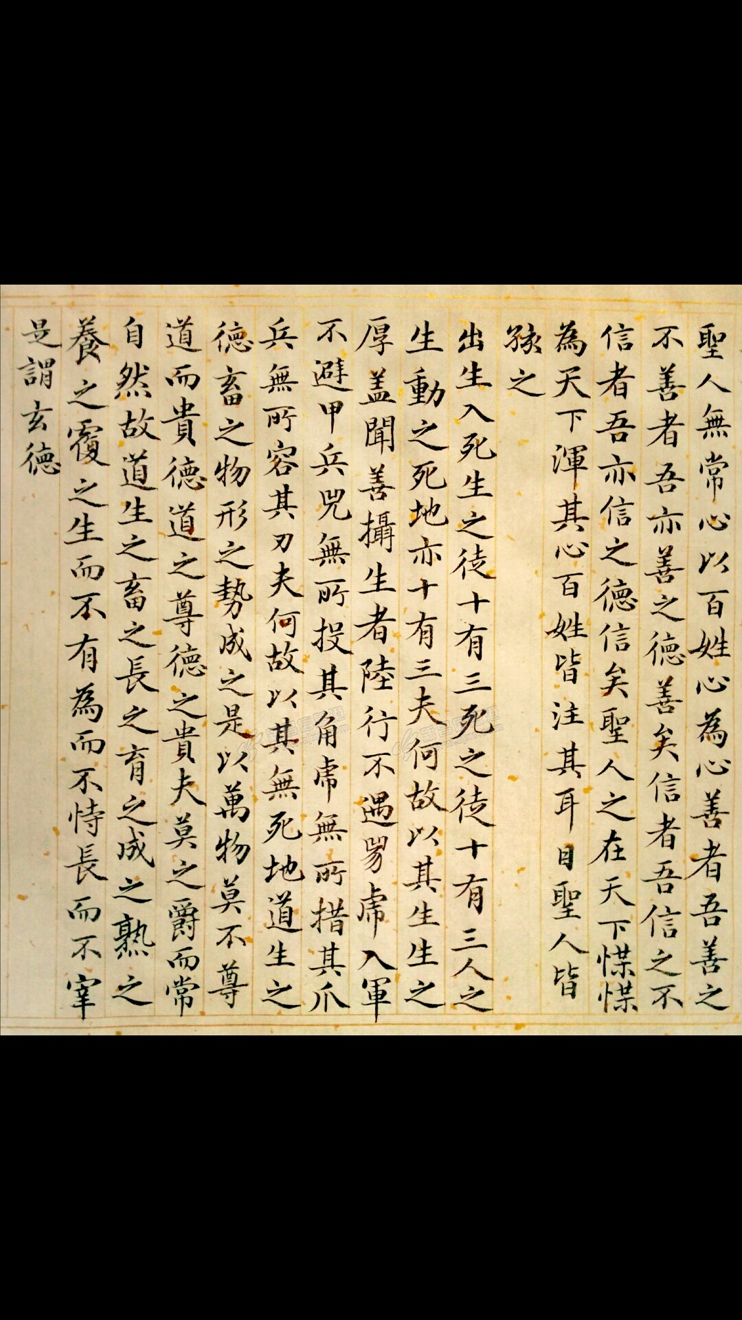 招明年全职老师课堂,兼职初中老师,英语理科,理科方案历史老师老师问题设计书法图片