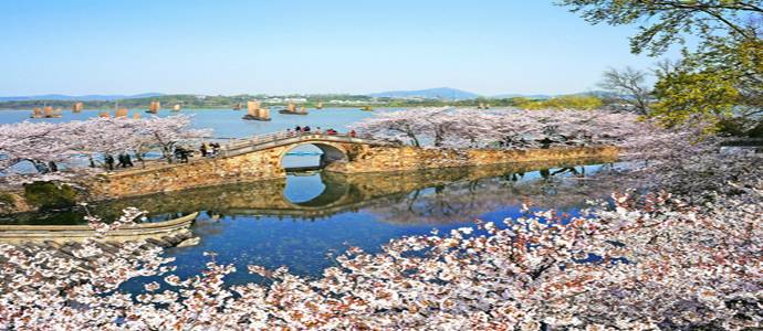 3月25日 游世界三大赏樱胜地之一的无锡太湖鼋(yuan)头渚风景区(5a)