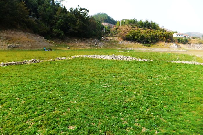 黄坛桥下好草地 !_天姥户外/驴途归来_新昌信息港